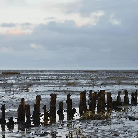 Lyngvejen V Semesterbostad *
