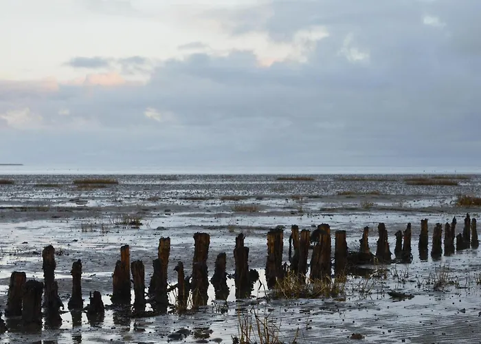 Lyngvejen V Semesterbostad *